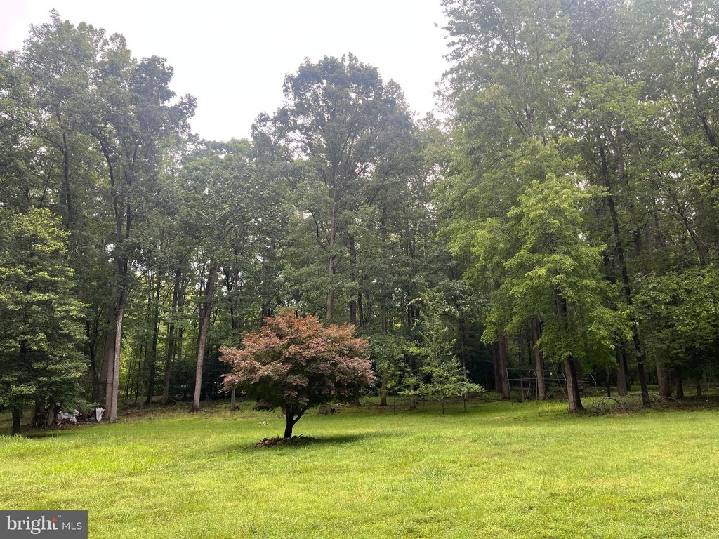 Picture 45