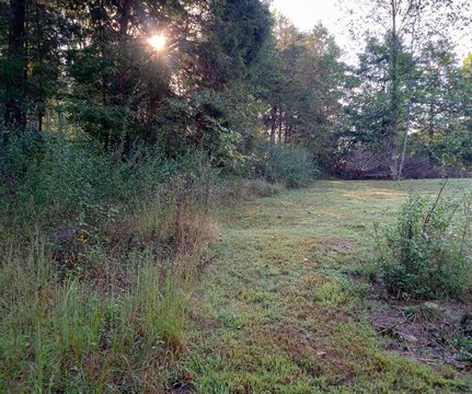 Leitchfield, KY Vacant Land
