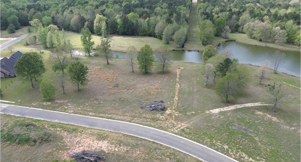 Picture 4