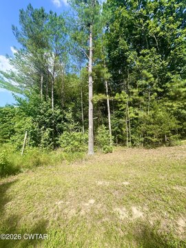 LAND - Lexington, TN