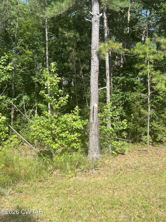 Picture 2