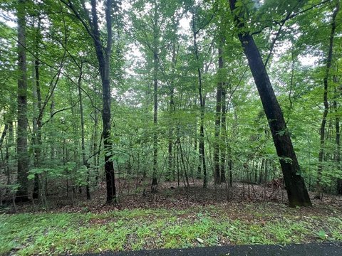 Residential Lot in Gated Community