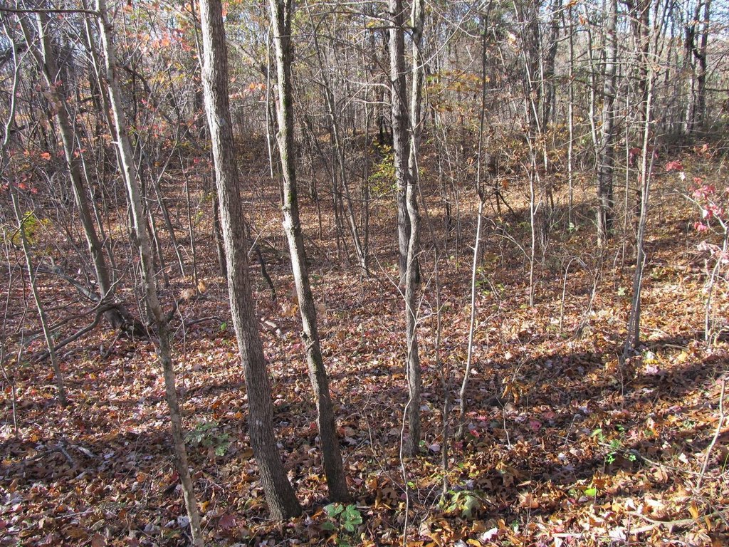 Picture 6