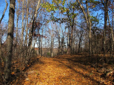 Recreational Hunting Land