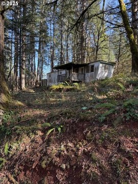 Junction City Land with Trees