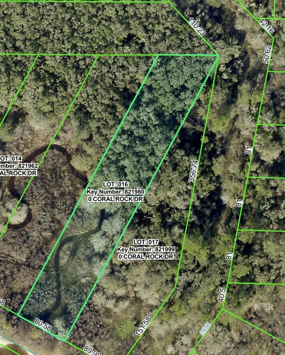 Vacant Land in Webster, Florida