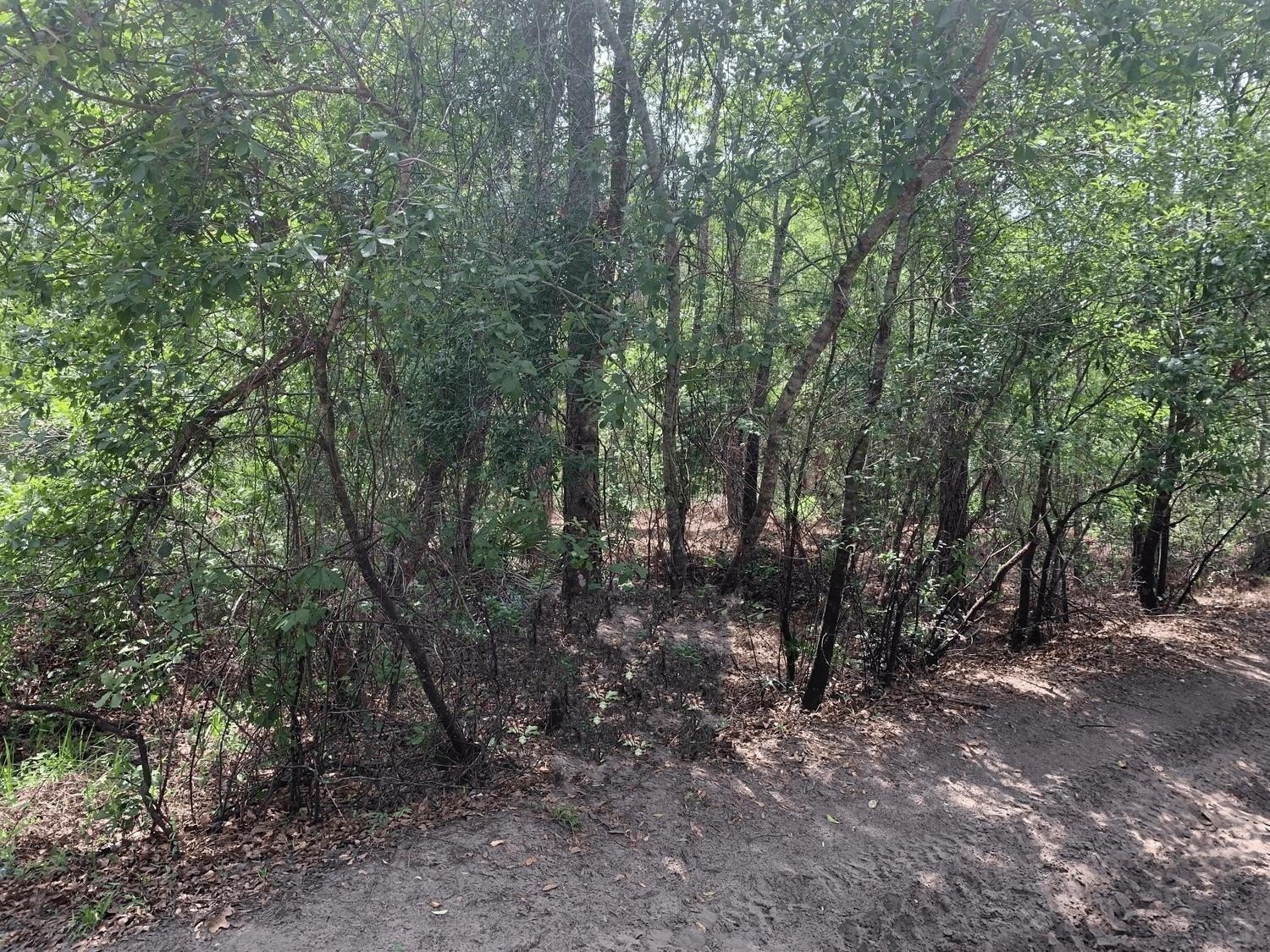 Land in Rancho Bonito Community