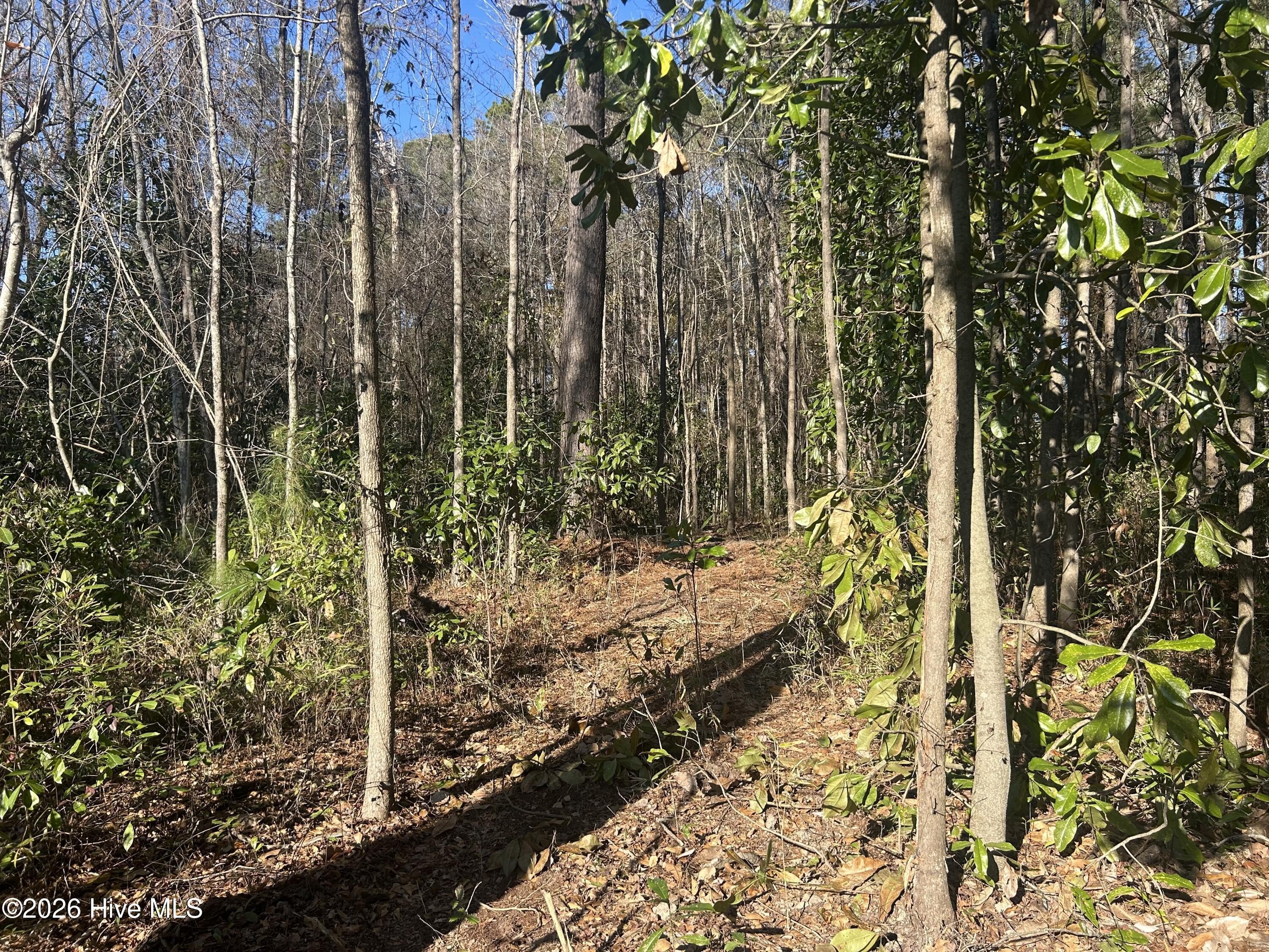 Homesite Near Wilmington, NC