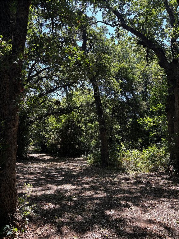 Picture 27