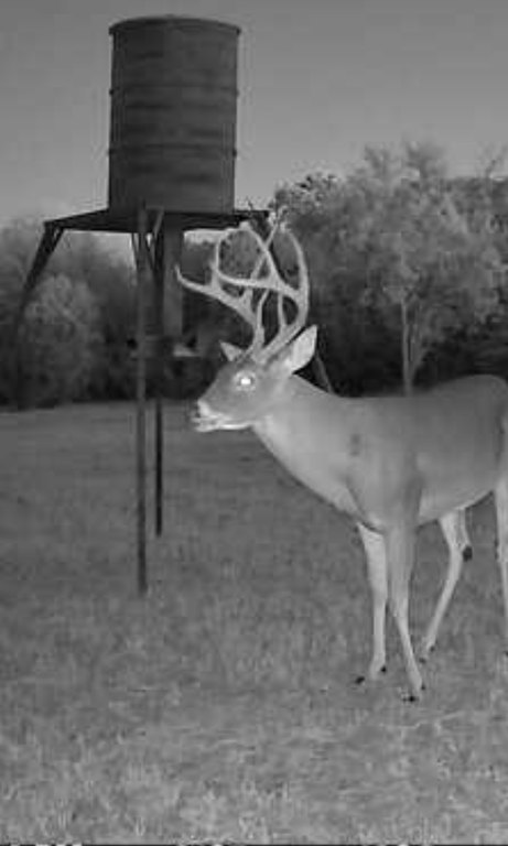 Picture 13