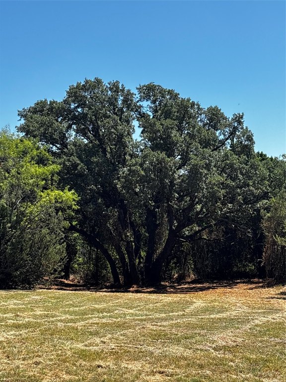 Picture 19