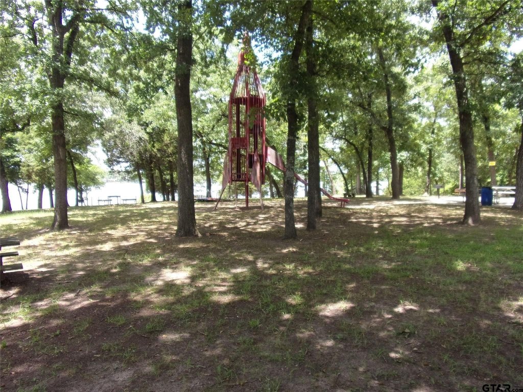 Picture 15