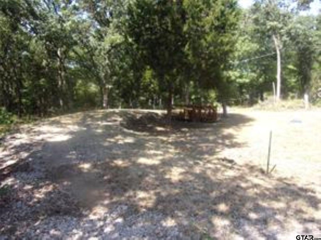 Picture 6