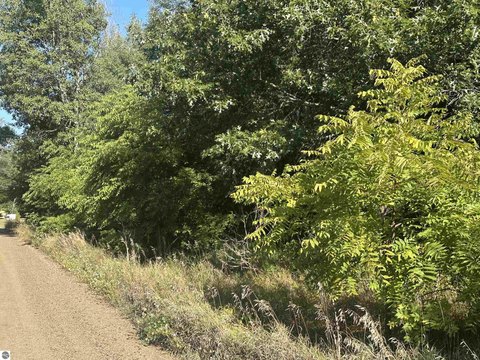 Lake-Adjacent Multi-Lot Land Opportunity