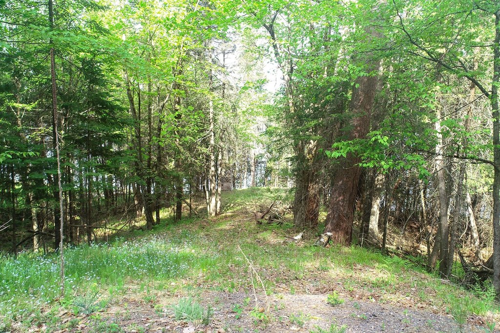 Picture 21