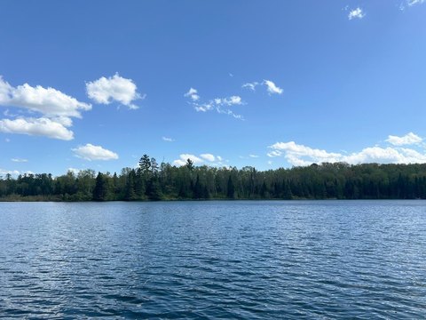 Roosevelt Lake Wooded Lakeshore Lot