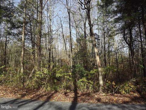 Residential Land in Alloway Township