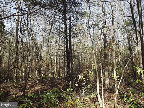 Residential Land in Alloway Township