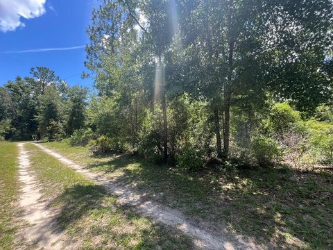 Land Near Suwannee River