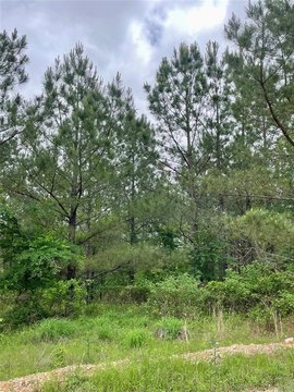 LAND - Broken Bow, OK