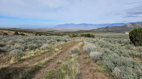 Nearly Flat Agricultural Parcel
