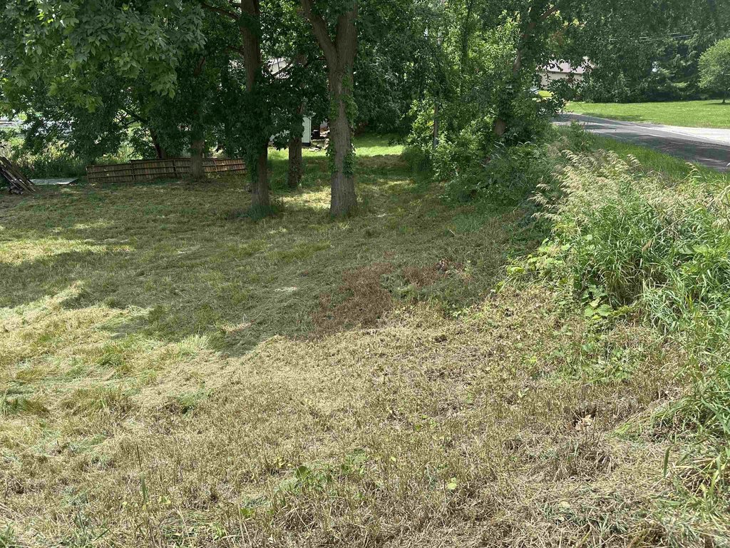 Picture 20
