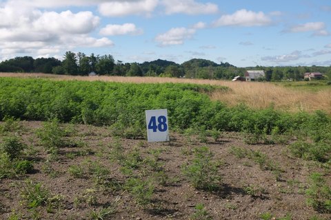 Residential Land in East Bernstadt