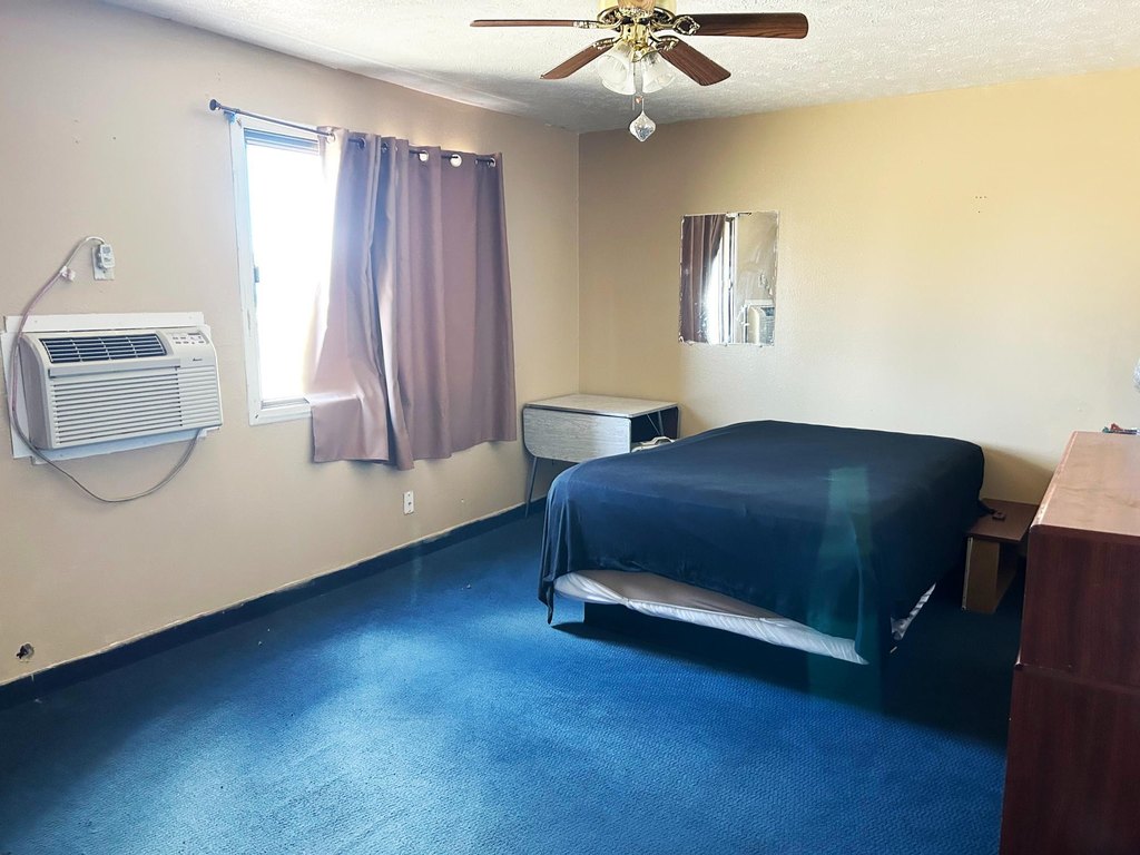 Picture 19