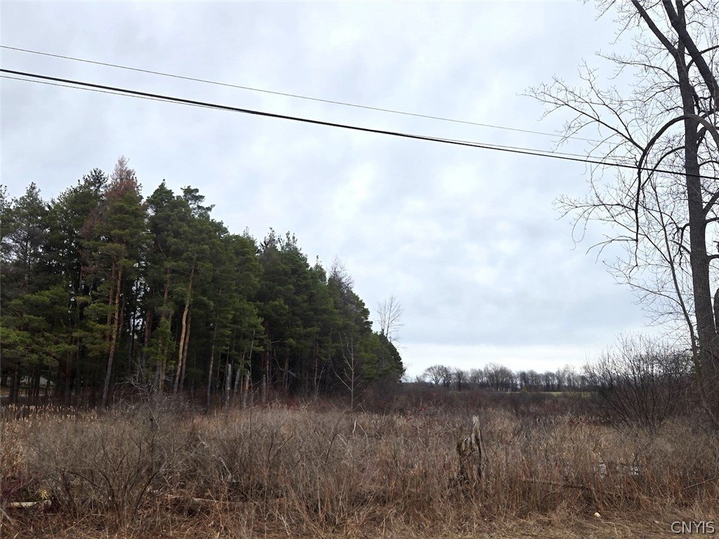 Gainesville NY Recreational Land