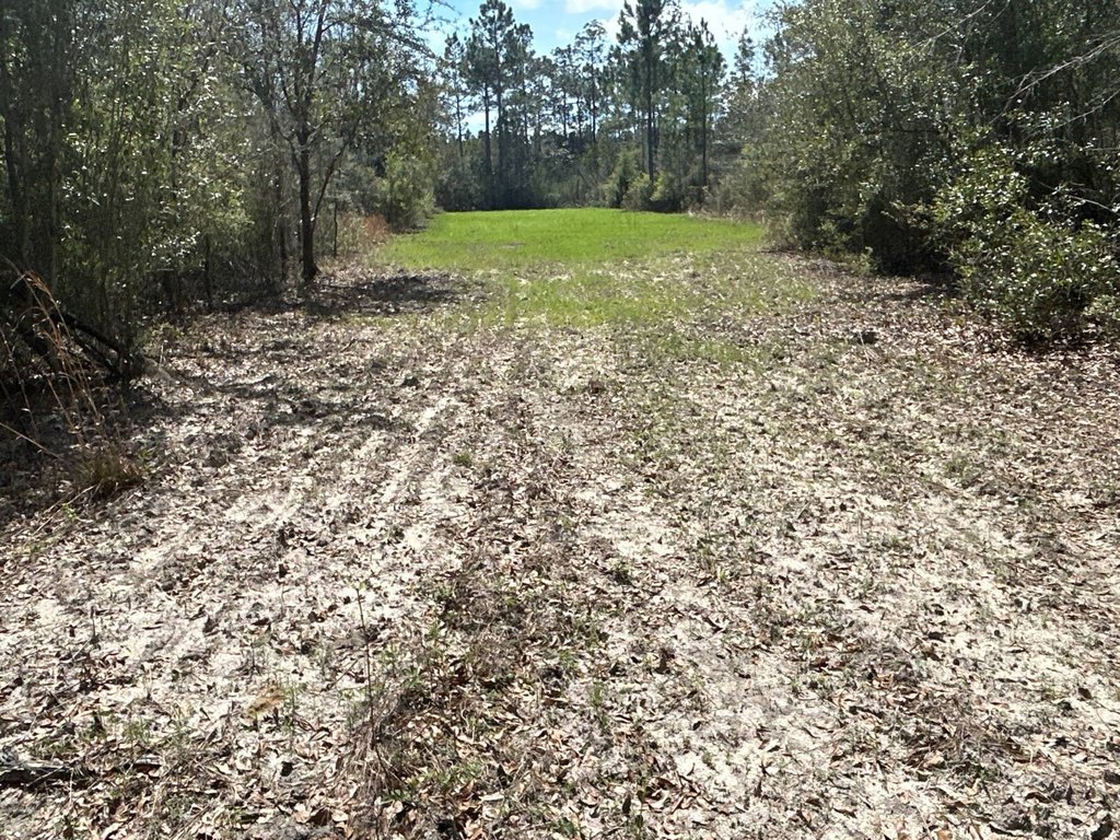 Picture 17