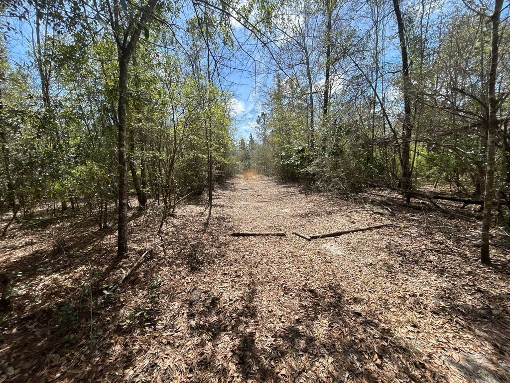 Picture 20