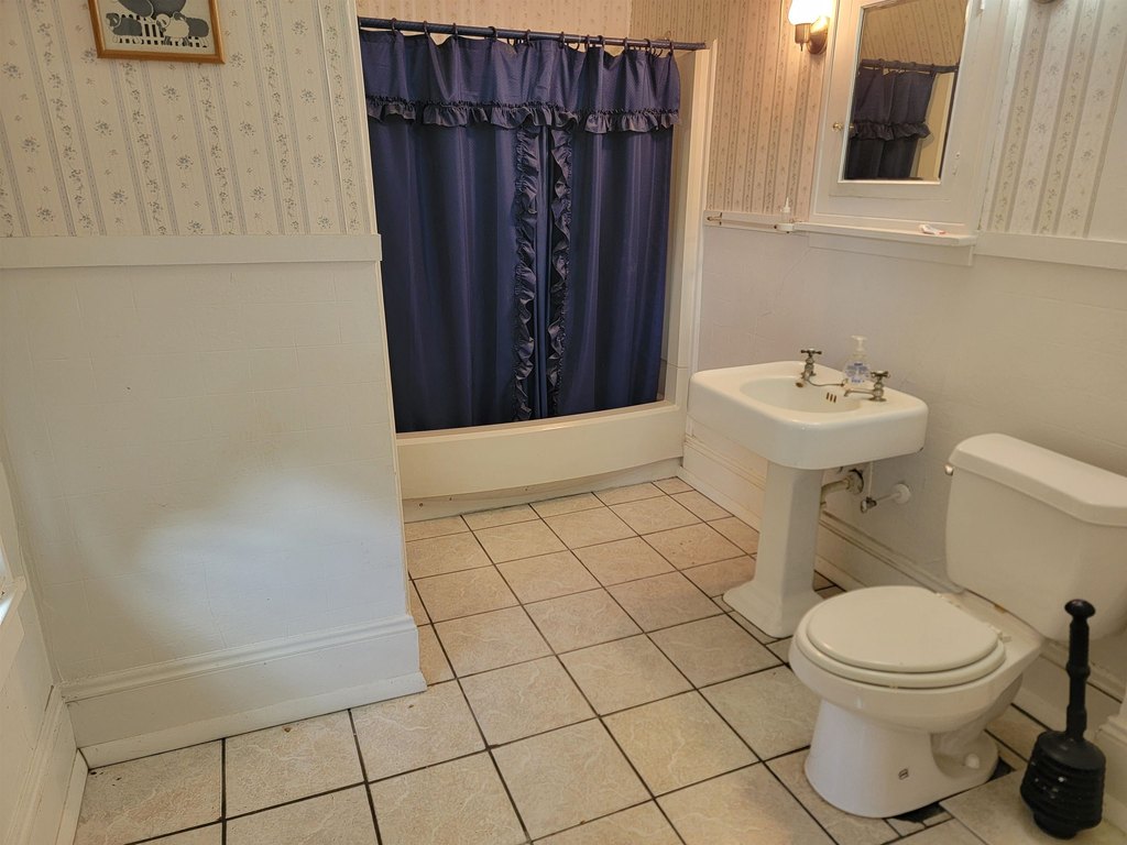 Picture 6