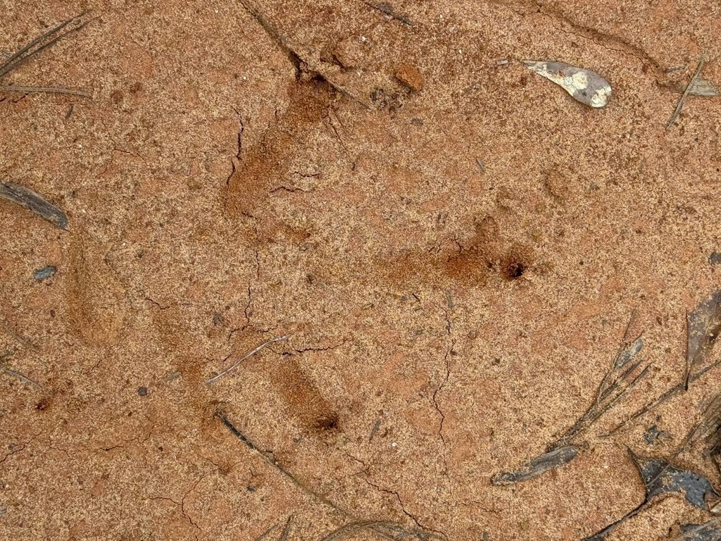 Picture 17