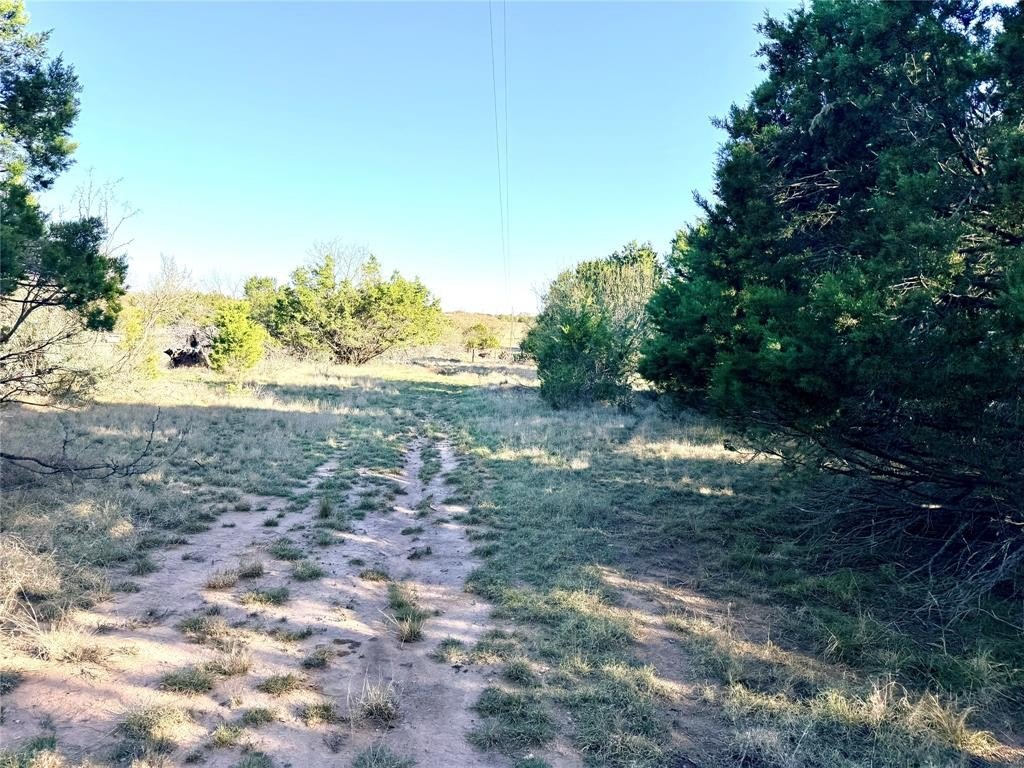 Picture 20