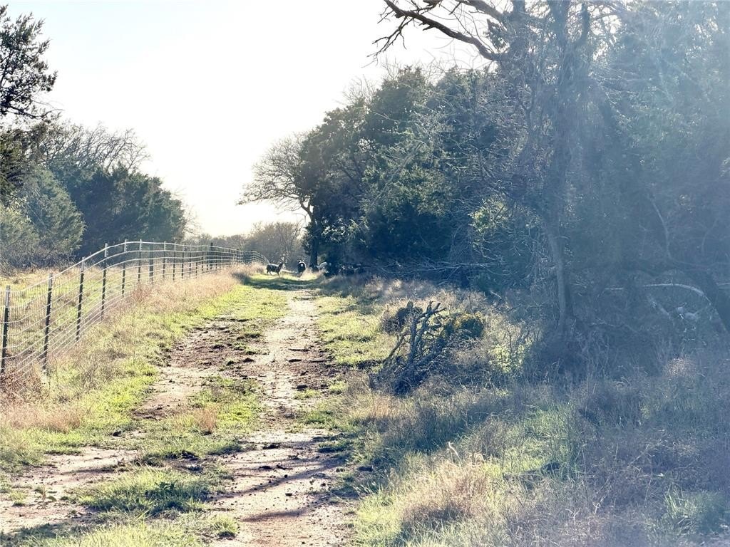 Picture 21