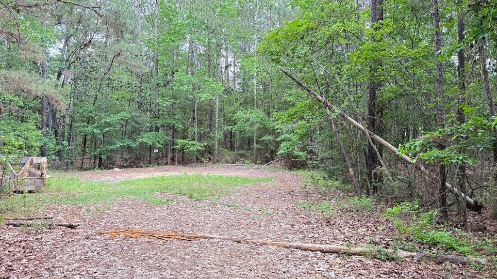 Land Near Sam Rayburn Lake