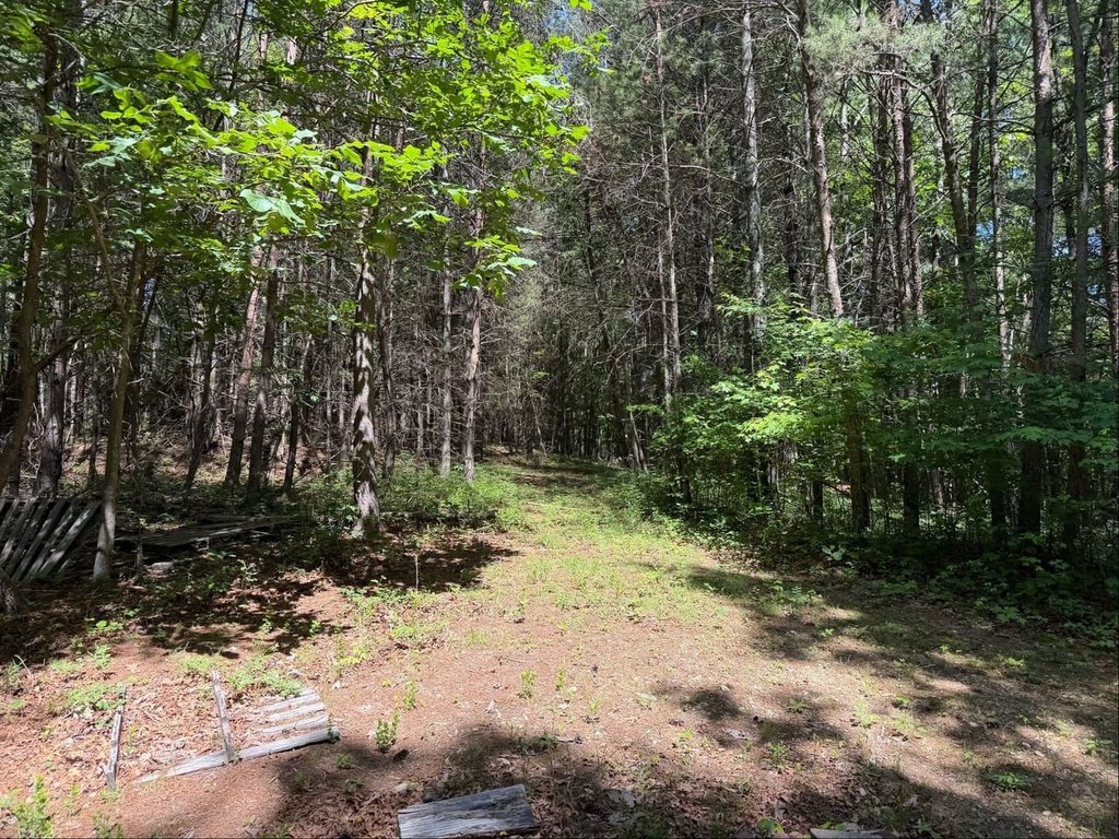 Picture 15