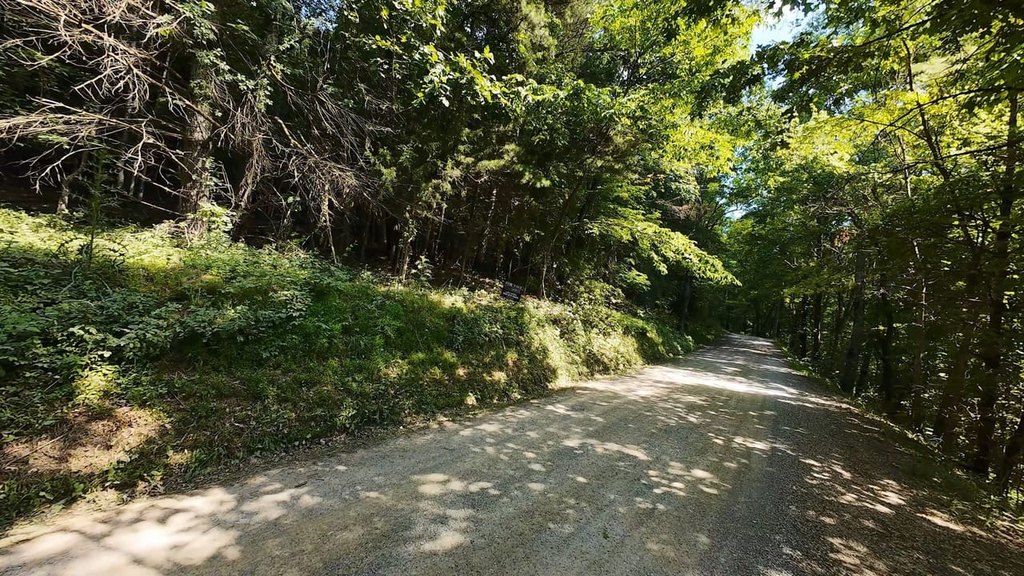 Picture 32