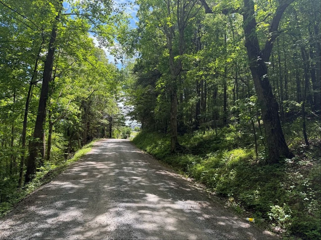 Picture 25