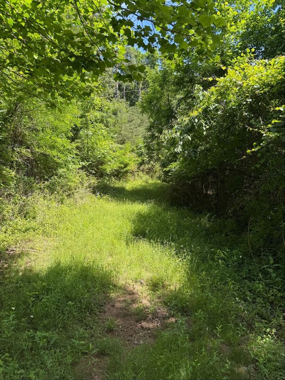 Picture 20