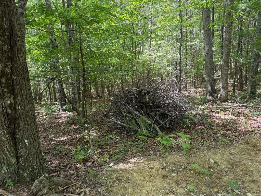 Picture 21