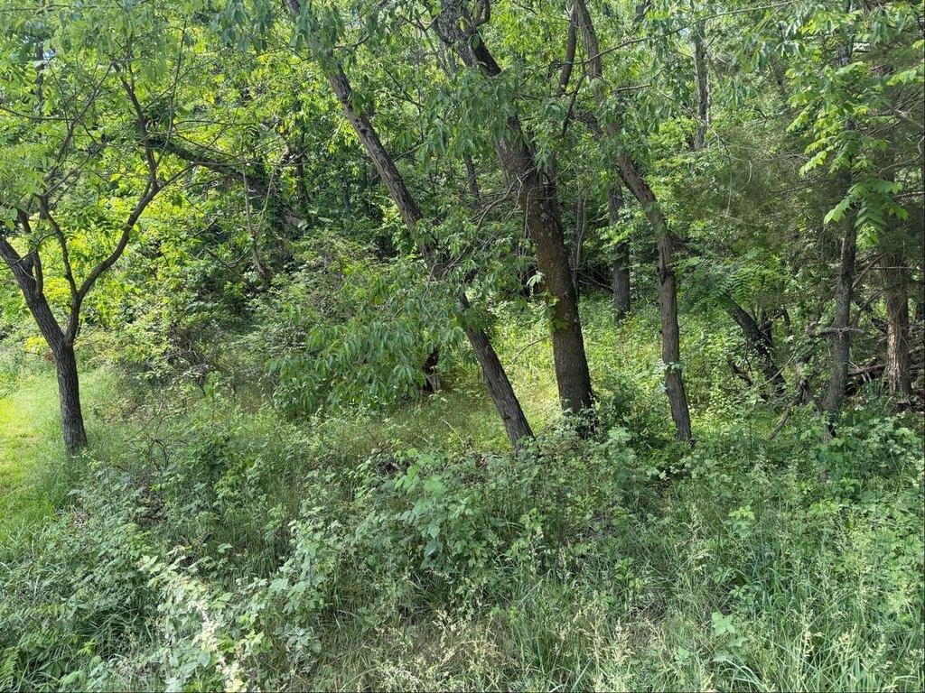 Picture 14