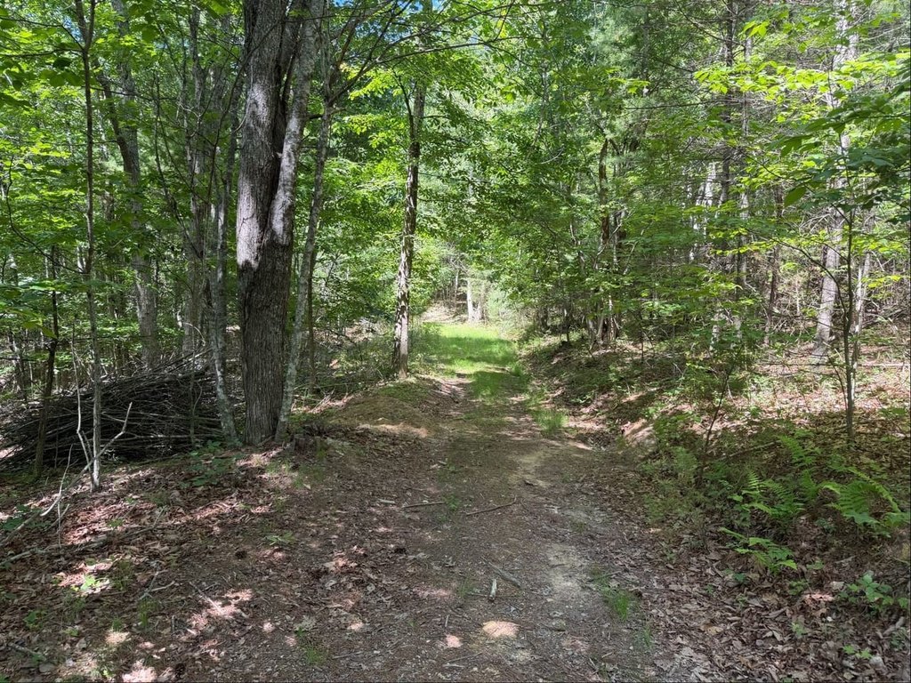 Picture 22