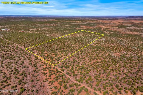 Remote Northern Arizona Land