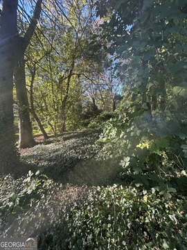 Residential Land in Downtown Ball