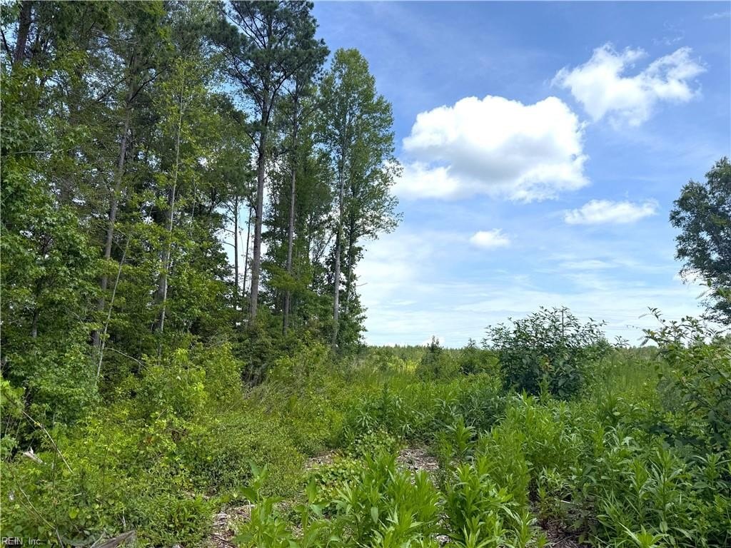 Picture 23