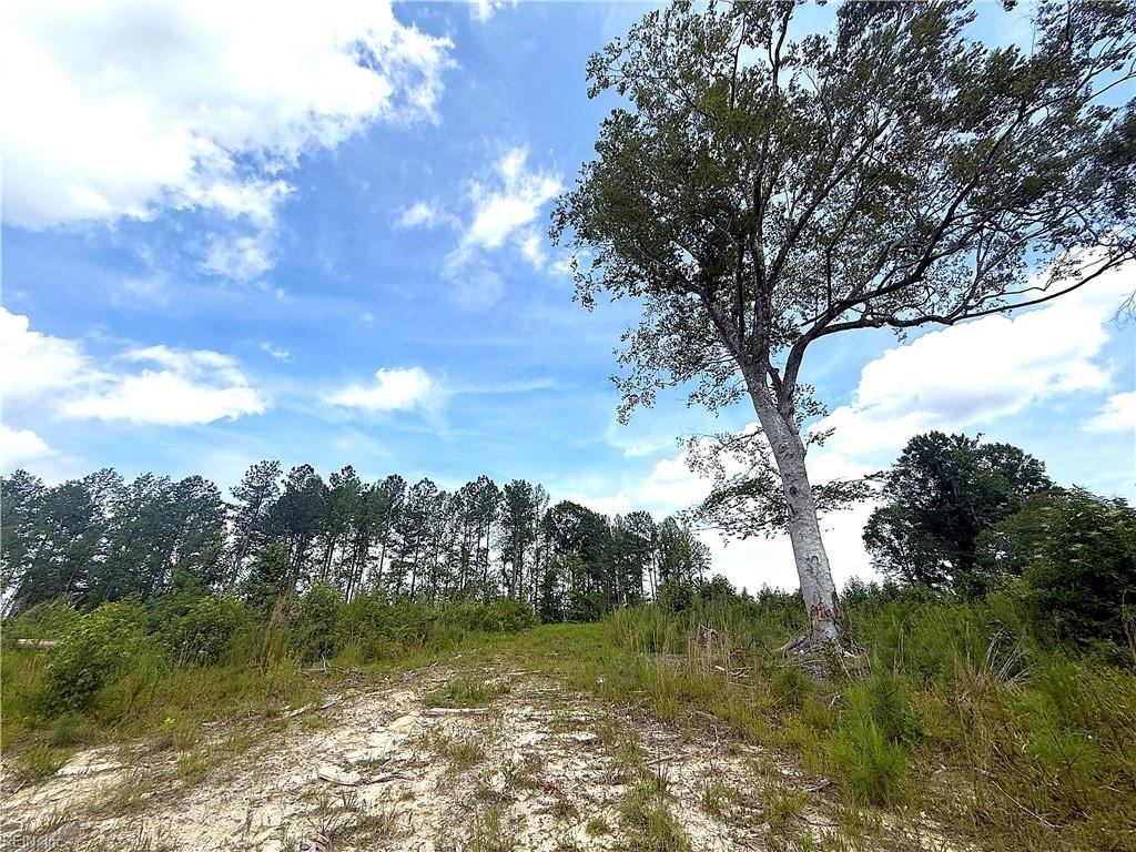 Picture 16