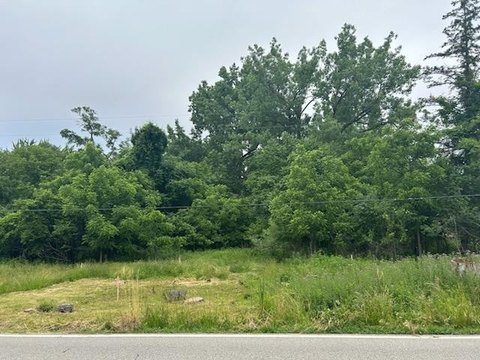 Wooded One-Acre Building Lot