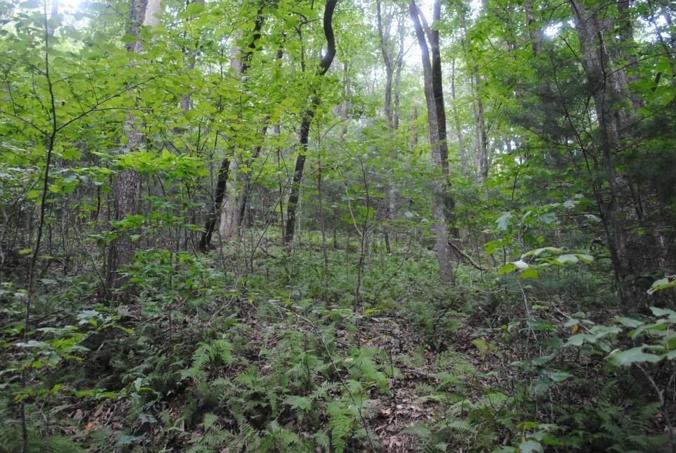Picture 31