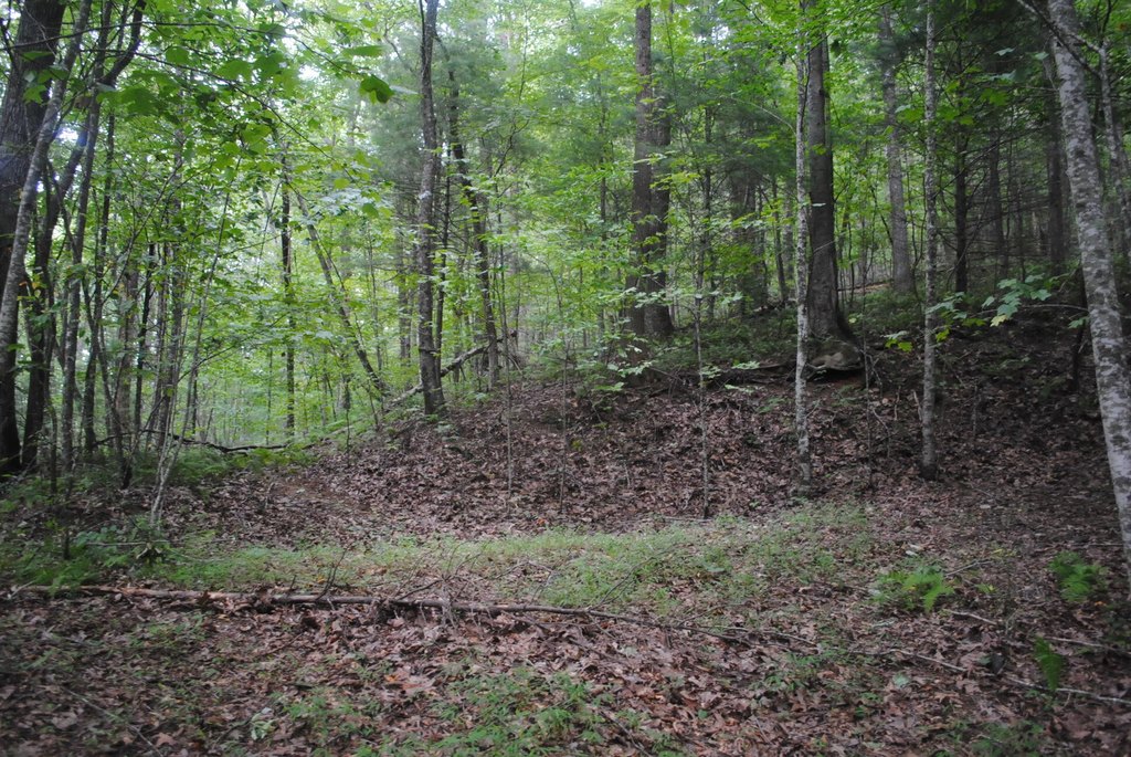Picture 39